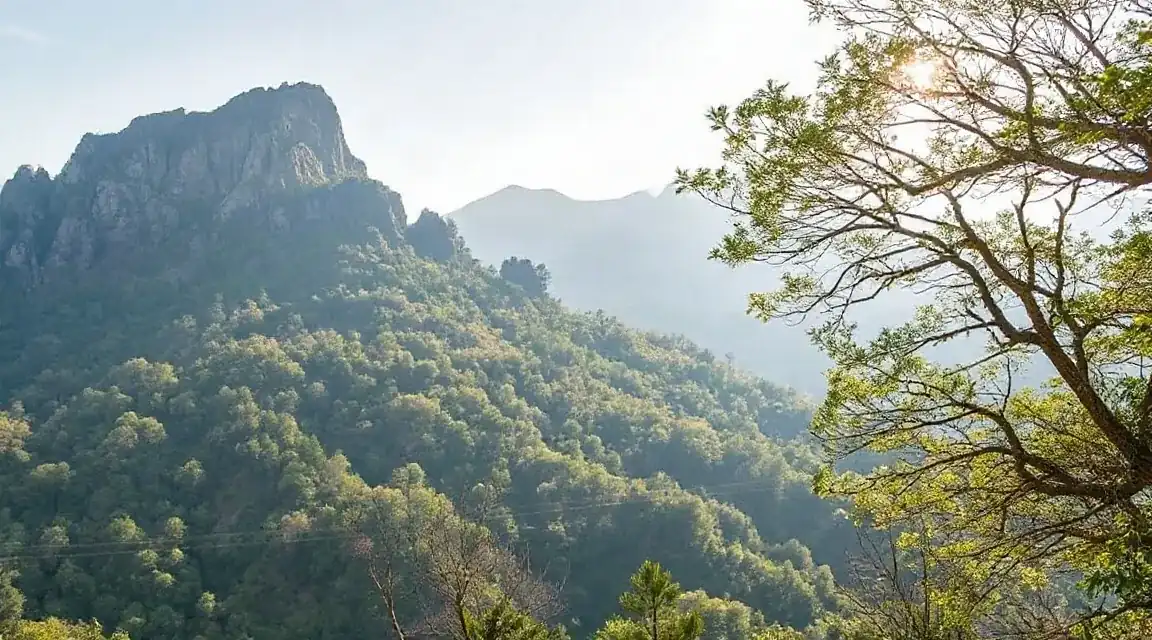 岩山と木々の葉が重なる、明るい山の風景（イメージ写真）