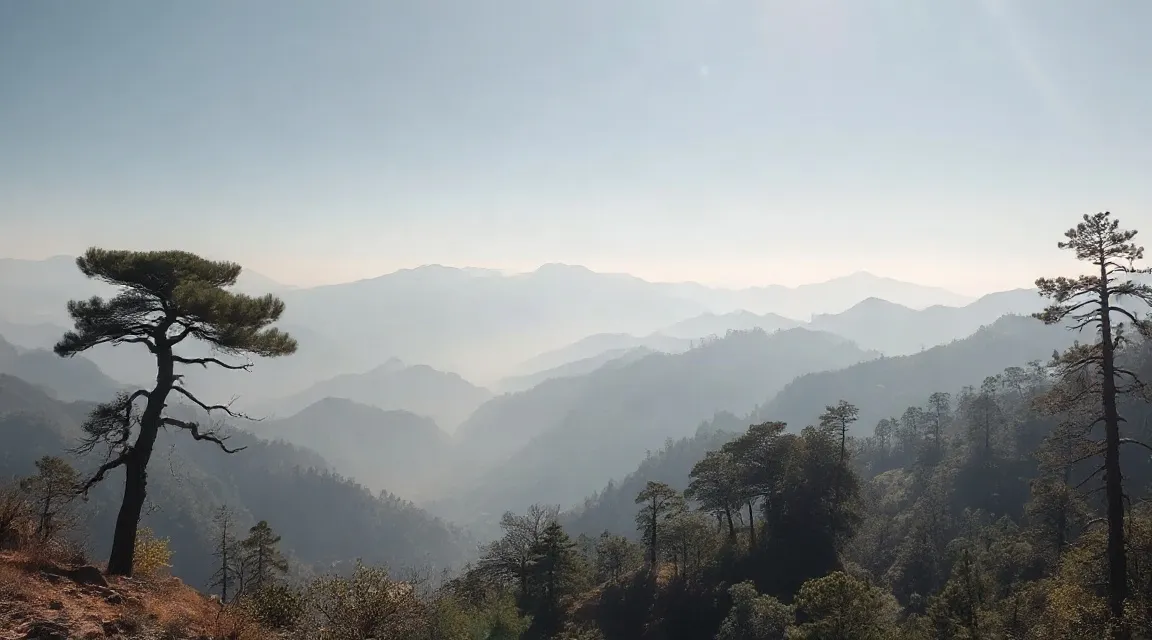 霞む山並みを背に、松が一本立つ風景（イメージ写真）