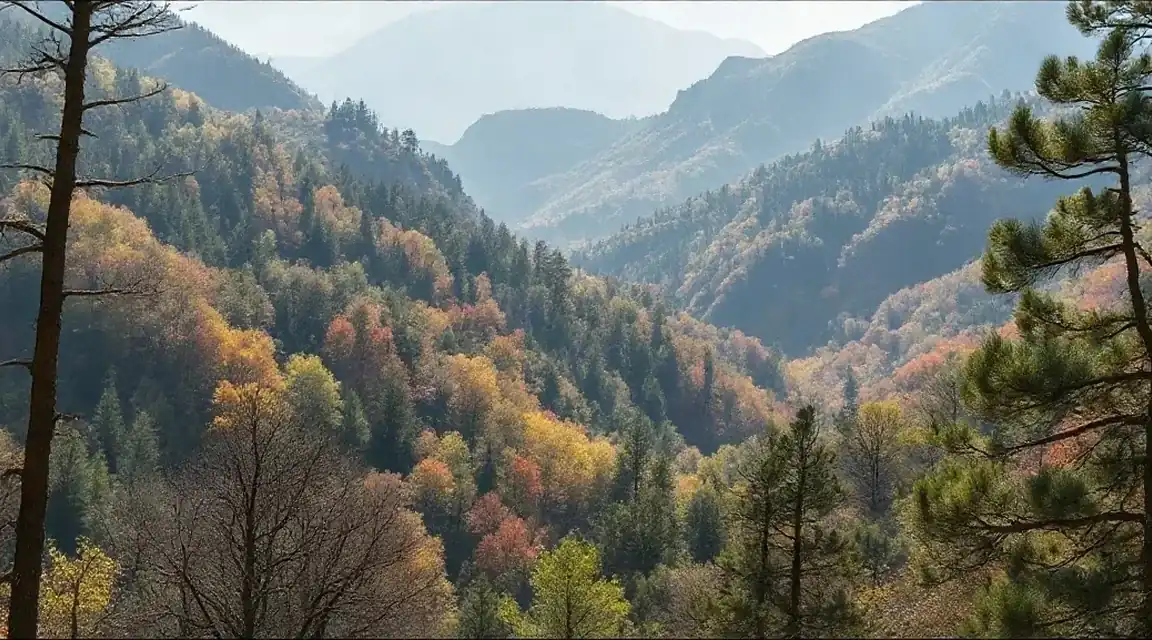 紅葉する斜面と遠い山並みの風景（イメージ写真）
