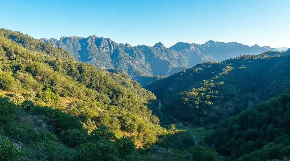 緑の山肌と遠い山脈が重なる谷の風景（イメージ写真）